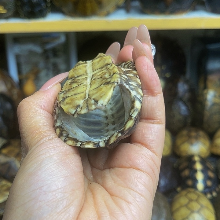 【闪购商品】有机玻璃0***人