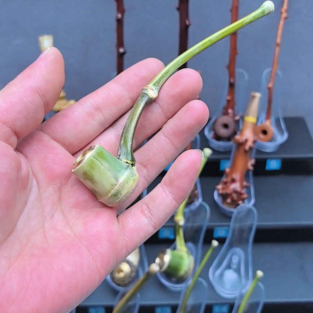 @***松小竹子烟斗，叶子烟款