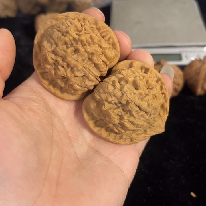 把件文玩核桃48左右官帽，编号020