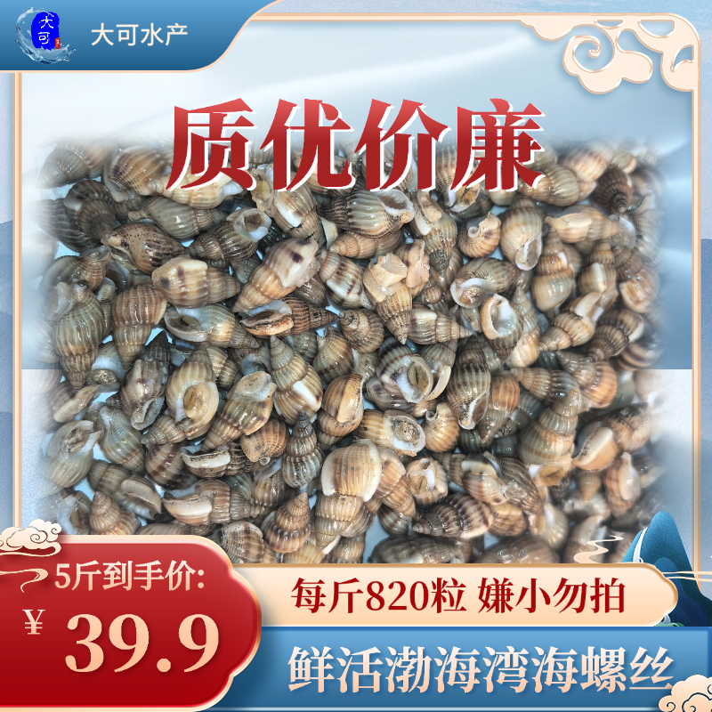 （鲜活）渤海湾海螺丝每斤820粒嫌小勿拍质优价廉好吃不贵！
