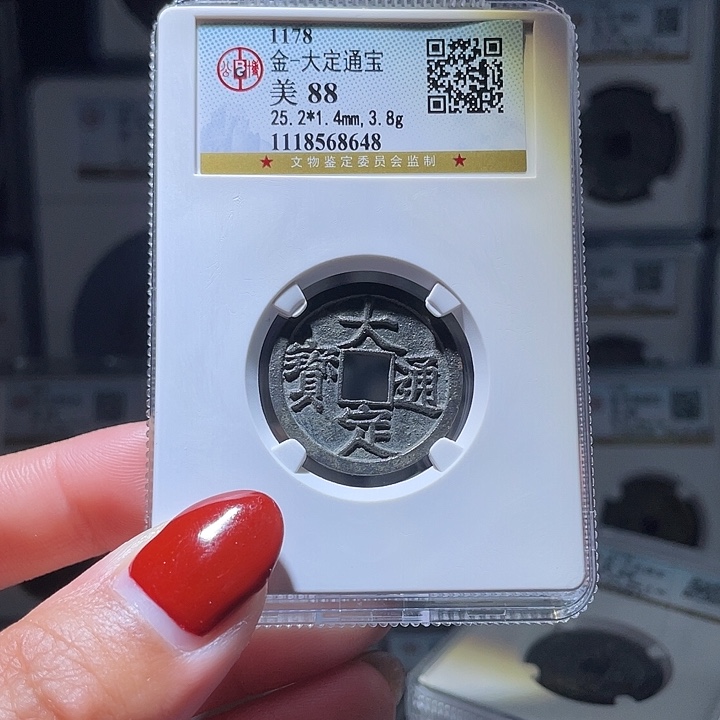 铜轩缘 白铜大定通宝编号8648