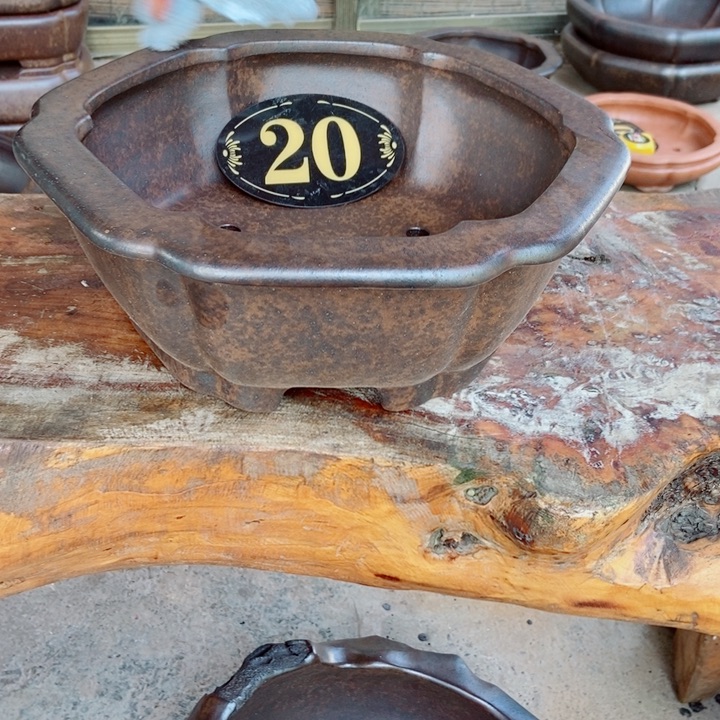 良***右杨冬益紫砂花盆467899