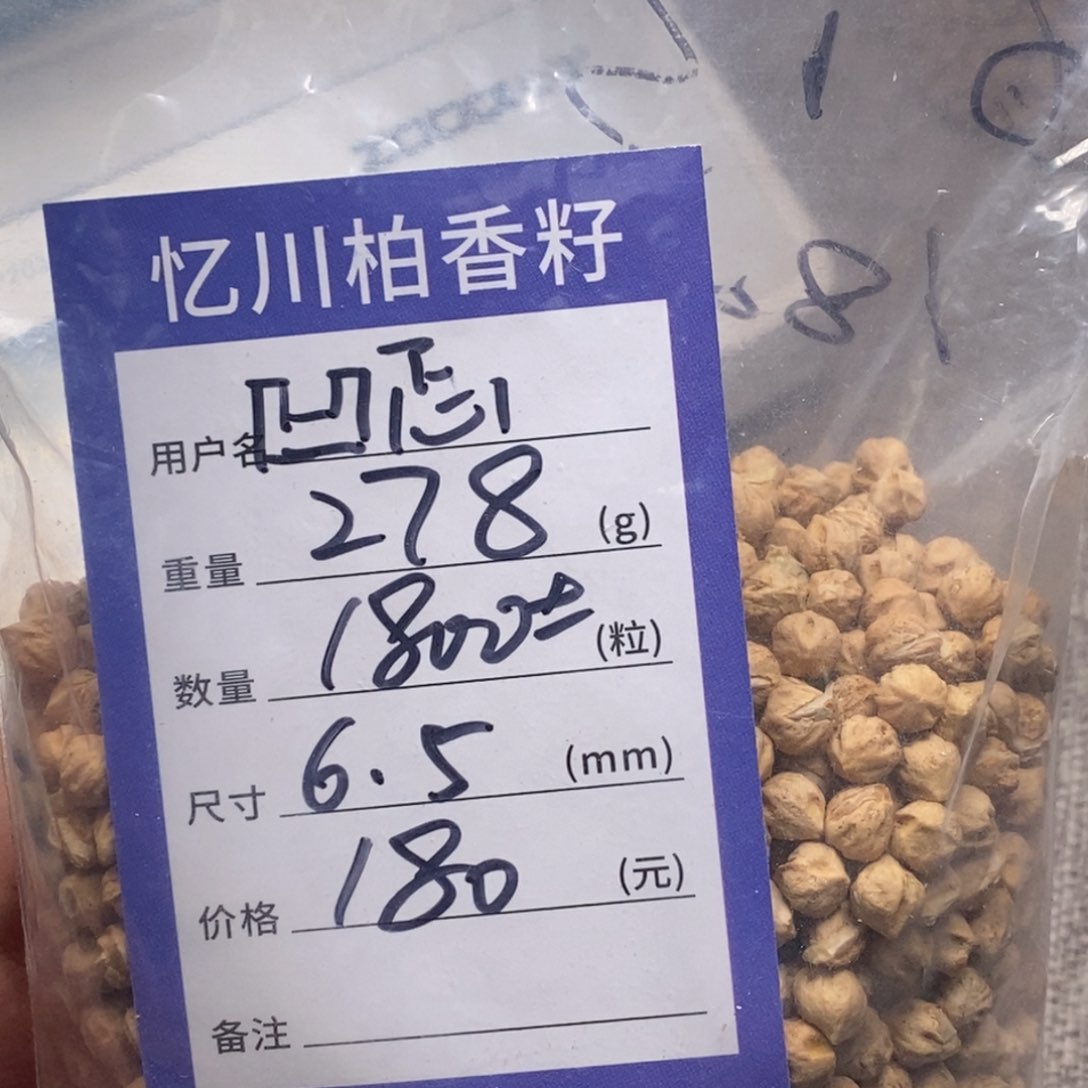 柏香籽/百香籽吊坠凹****