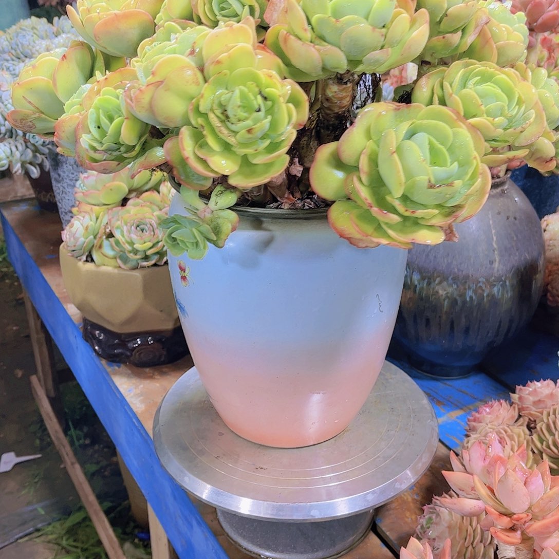 无铅玻璃无*多吃点东西吃不