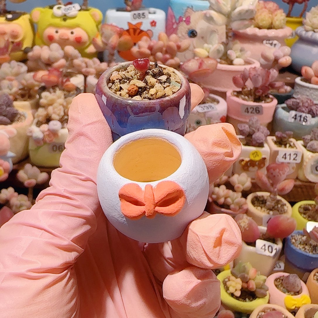 小****T mini可爱紫芯种蝴蝶盆口1.5cm