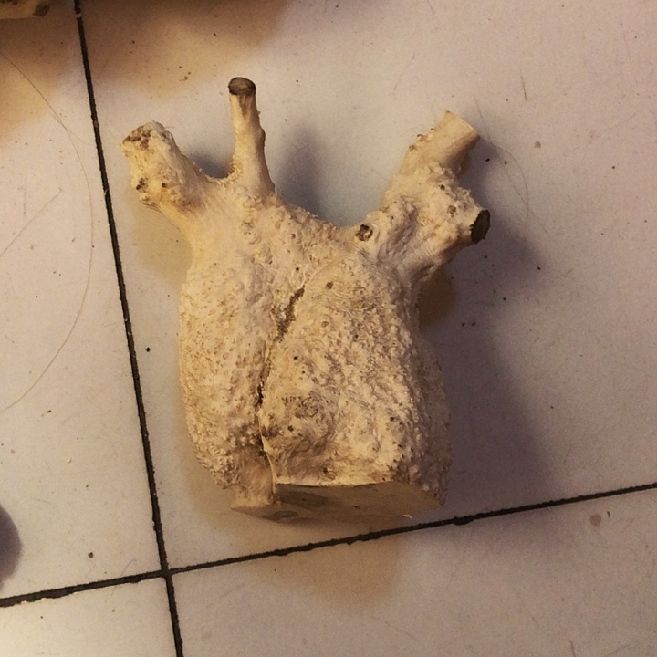 汪***海木木料木料木料木料