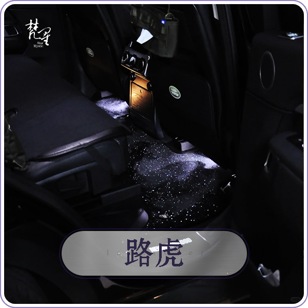 路虎 卫士 揽胜运动 发现 神行者 星空脚垫 专车专用汽车脚垫
