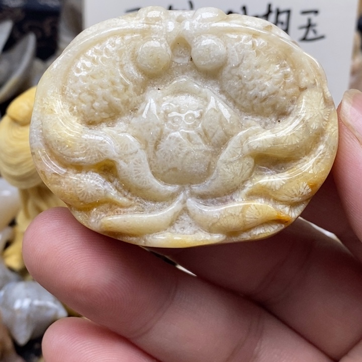 硅化珊瑚（珊瑚玉）未镶嵌颈饰