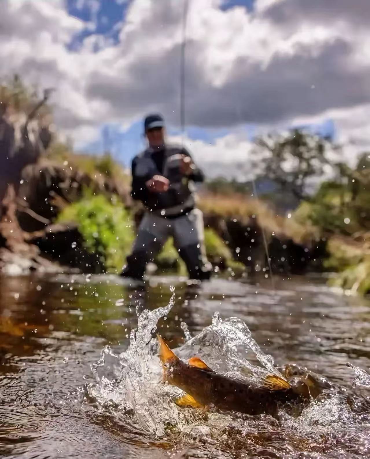 单独品牌路亚杆子样品链接 渔具尾单 (以主播讲解为主)