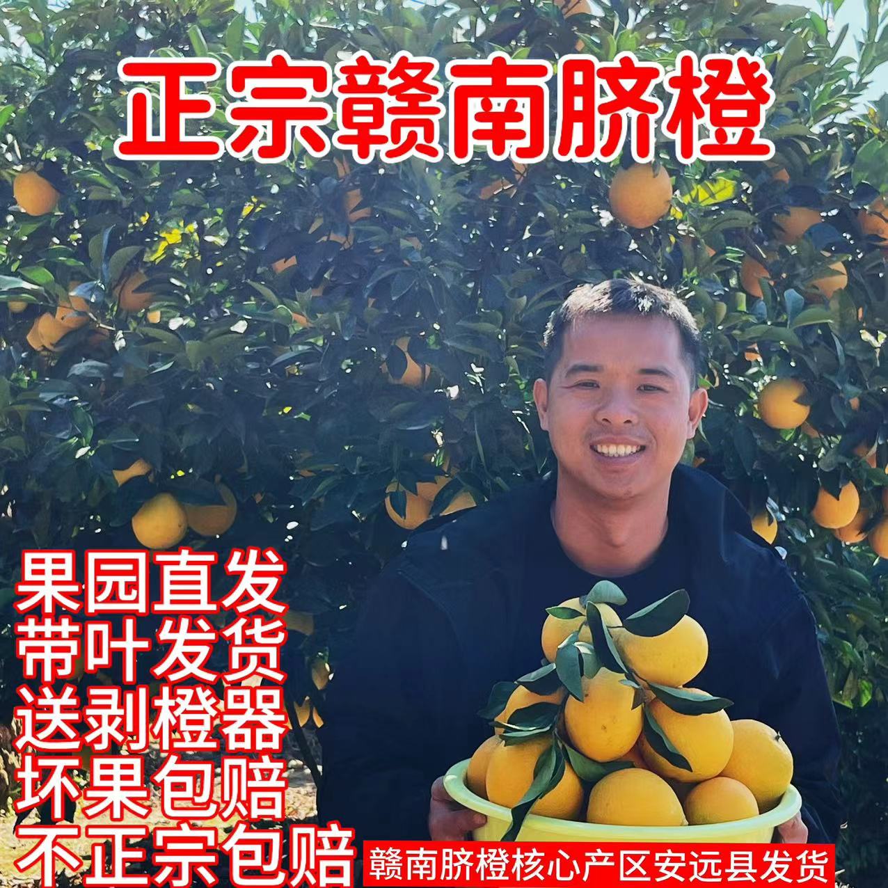 正宗赣南脐橙当季新鲜好吃水果现摘现发甜橙子整箱10斤