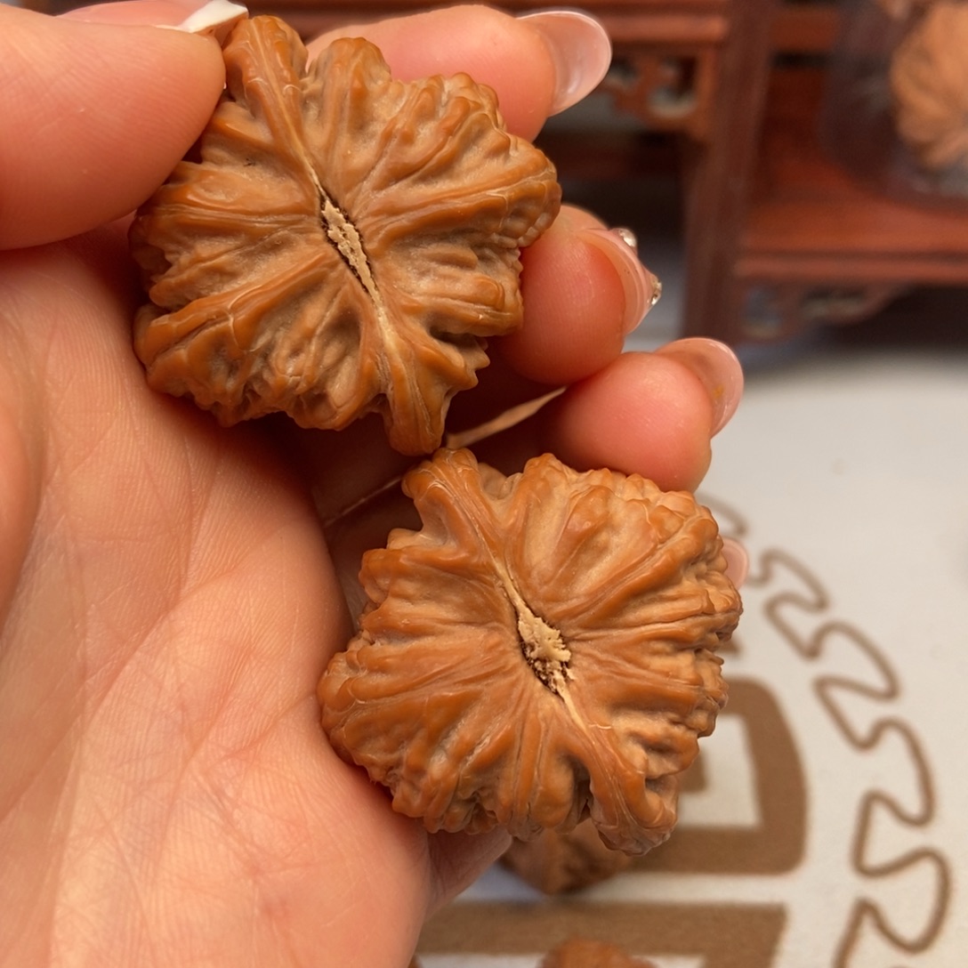 S***n大叶紫檀（黑酸枝木类）白狮子