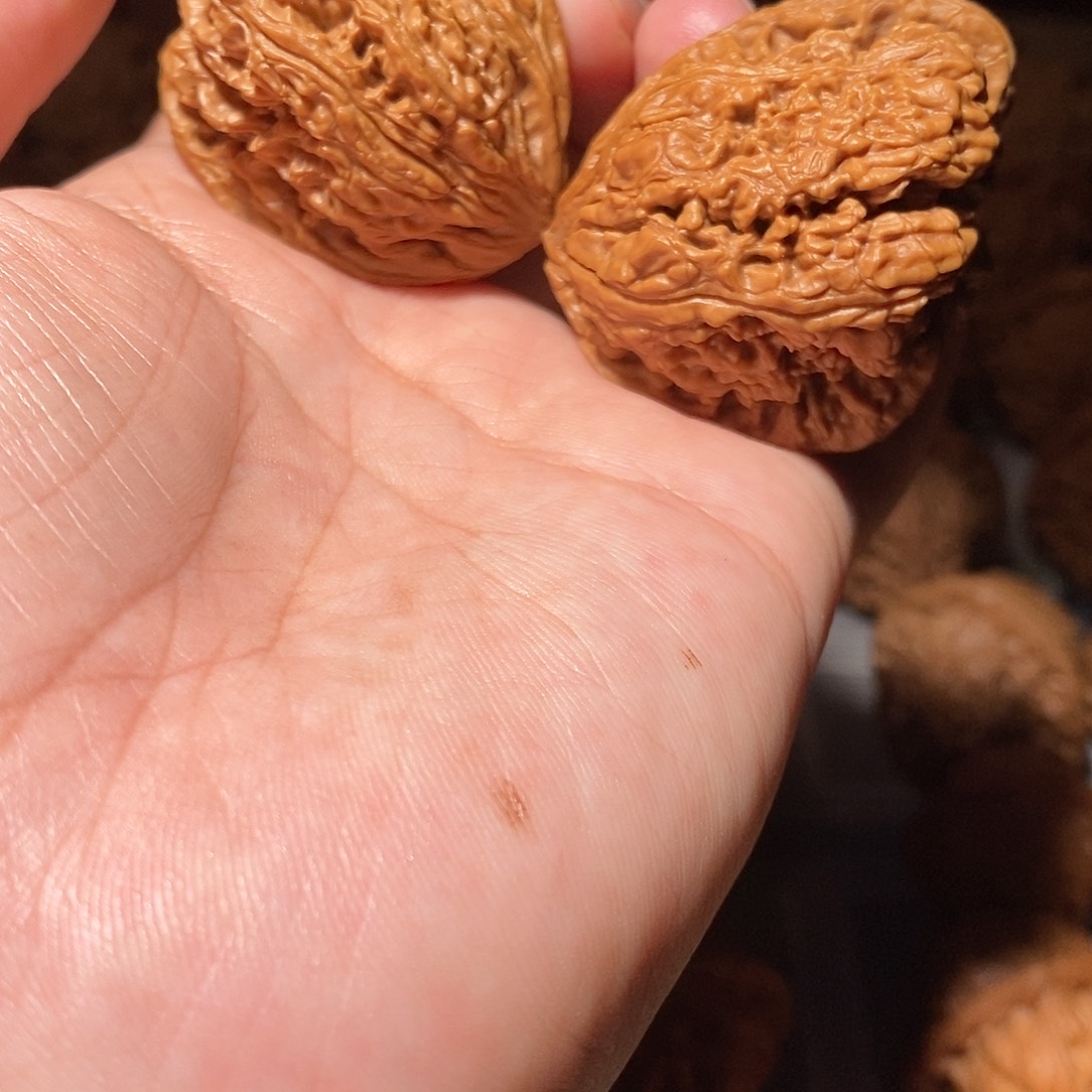 钢***镚文玩核桃把件003南将石异形天残脚