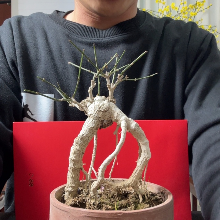 恭***财摸摸摸摸摸摸我哦嫩