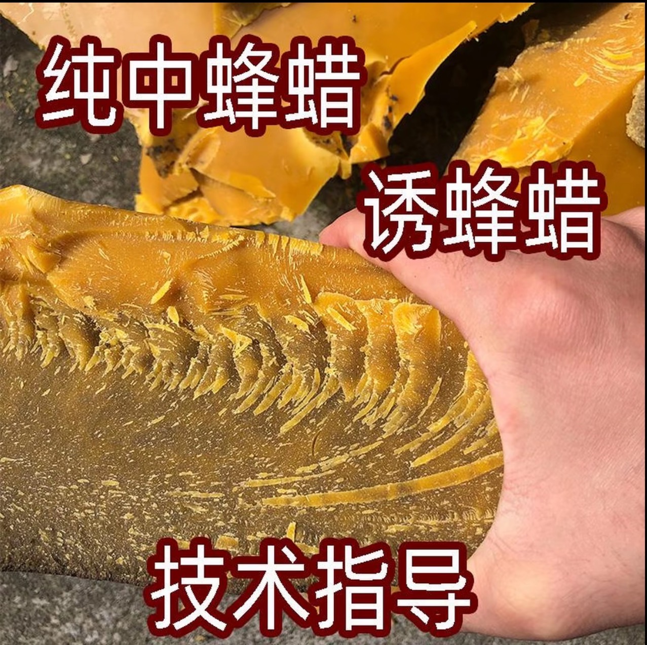 正宗中蜂老巢脾诱蜂蜡%不来蜂包退