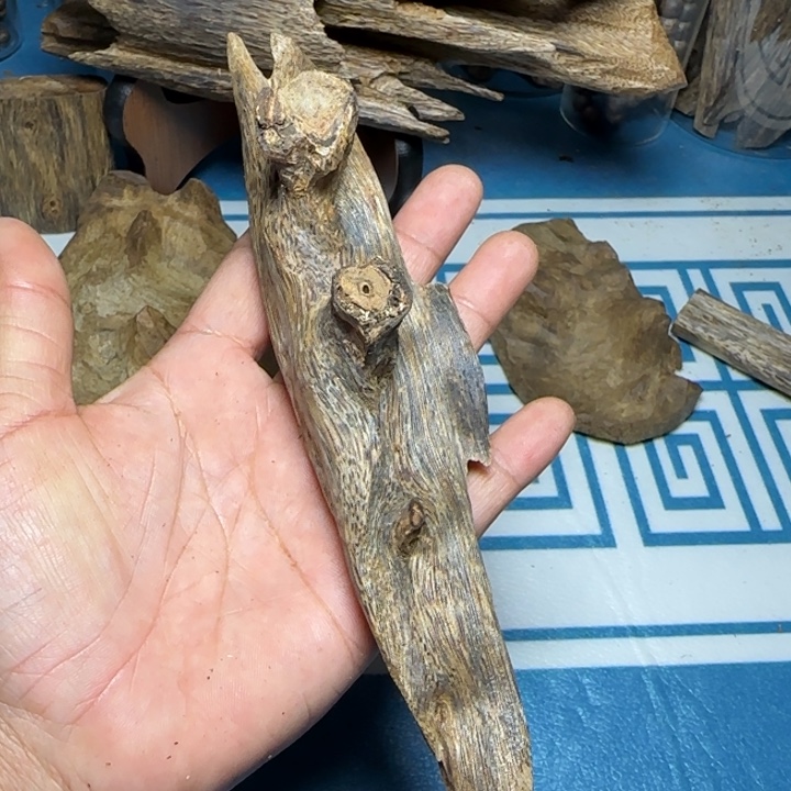 木质母树绿奇陆河树心油53克