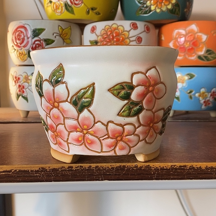 韩式多肉植物花盆