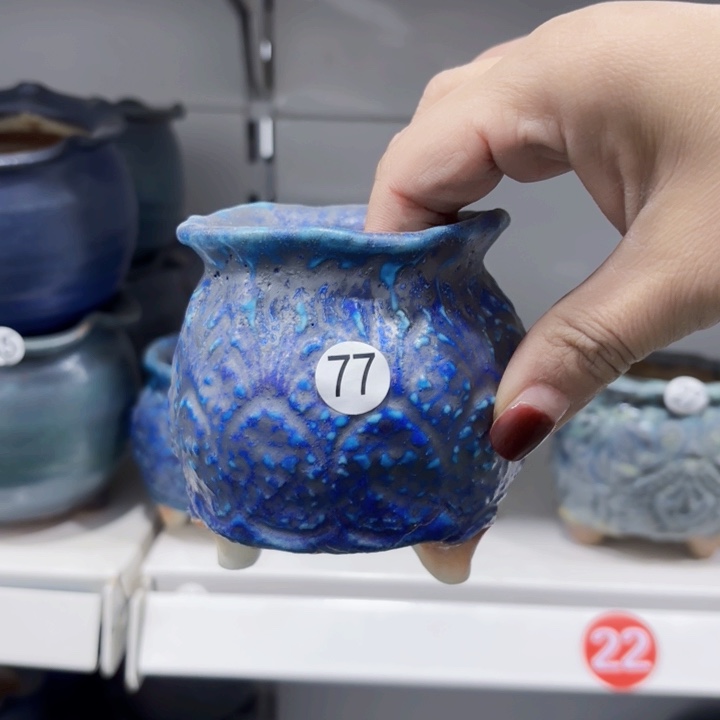 红陶苹*?内敛的人是不可能