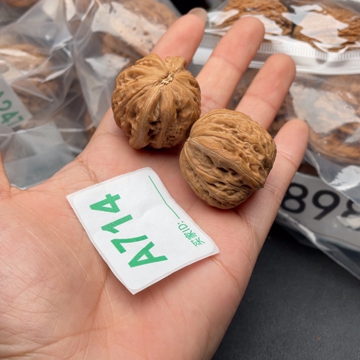 文玩核桃吊坠核桃