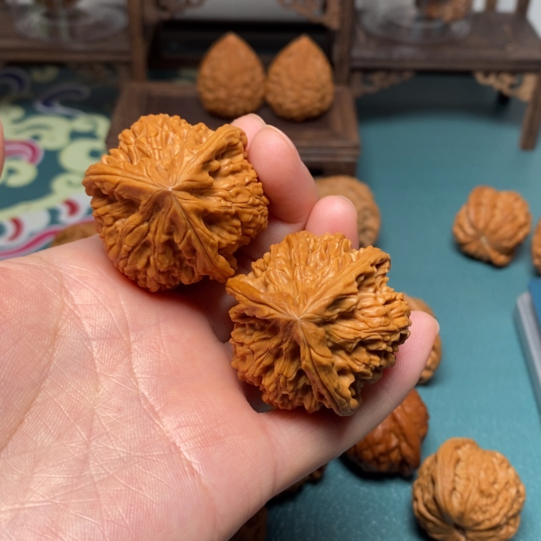 核桃40尺文山三棱修