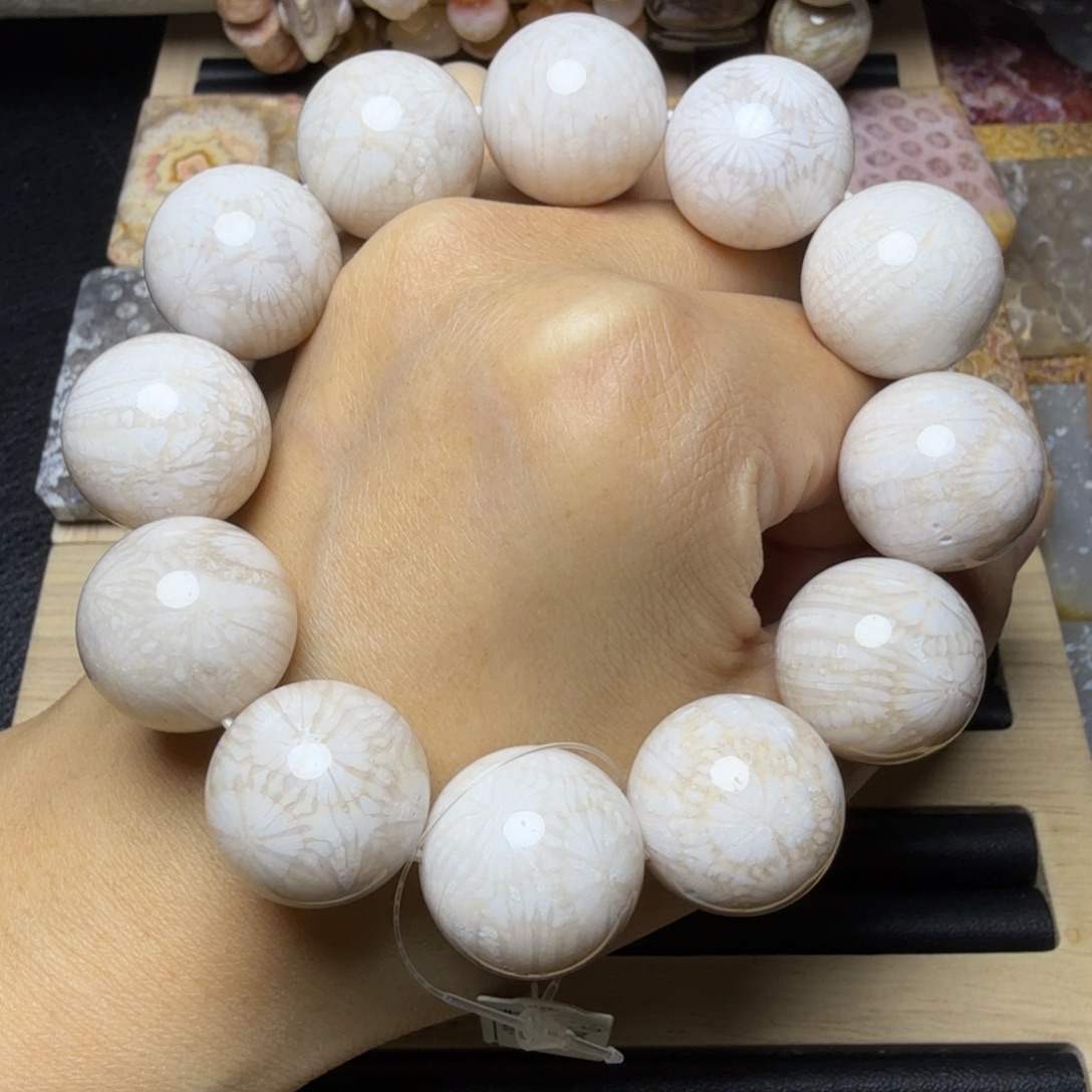 硅化玉未镶嵌稀少大颗粒19咪，干净白花 个别骨骼