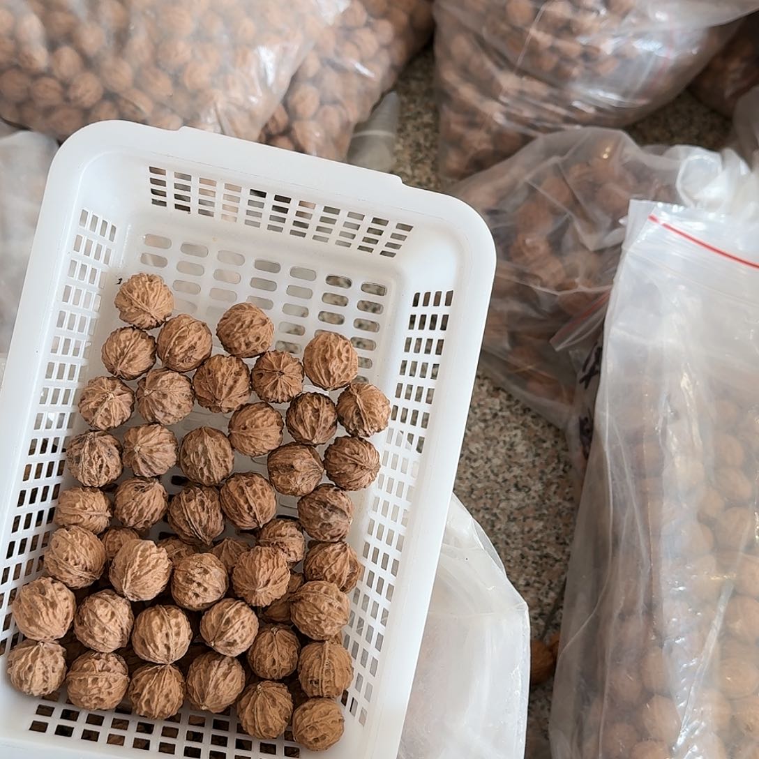 核桃手串/手链29号20元50个