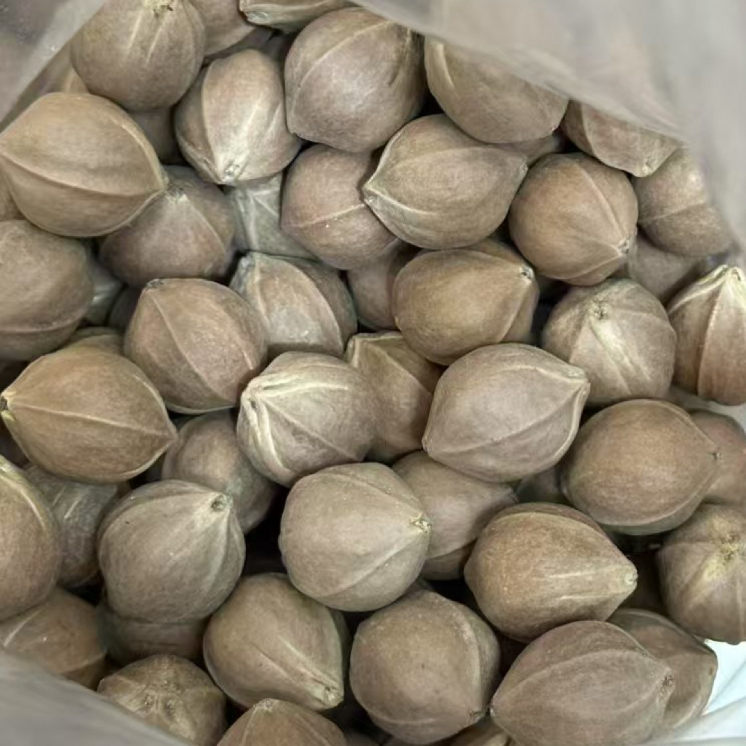 专属定制链接不退不换 定制三通21/30尺寸一颗
