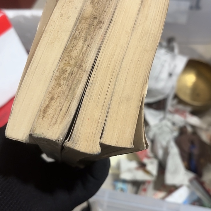 一***埃杂色豆（科檀/科特迪瓦檀木）