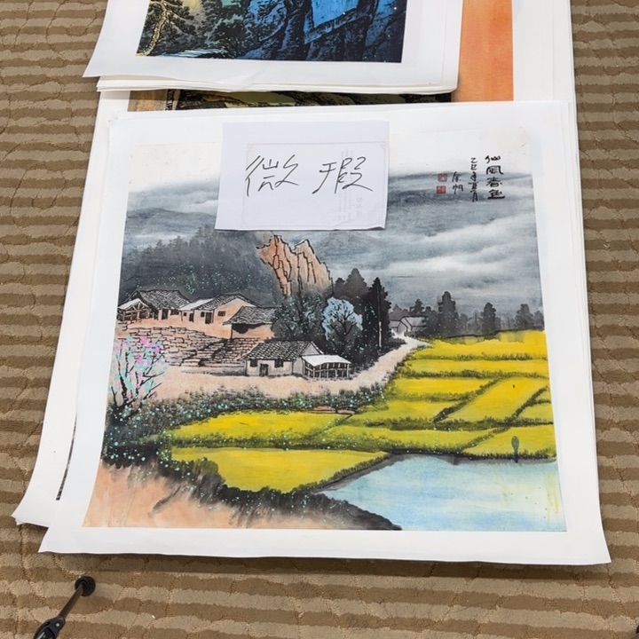 国画用****9花鸟的翅膀和羽毛