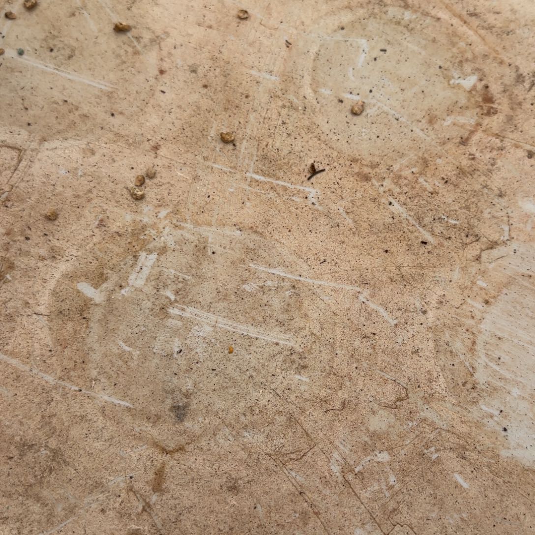 泡***泡泡泡。                  