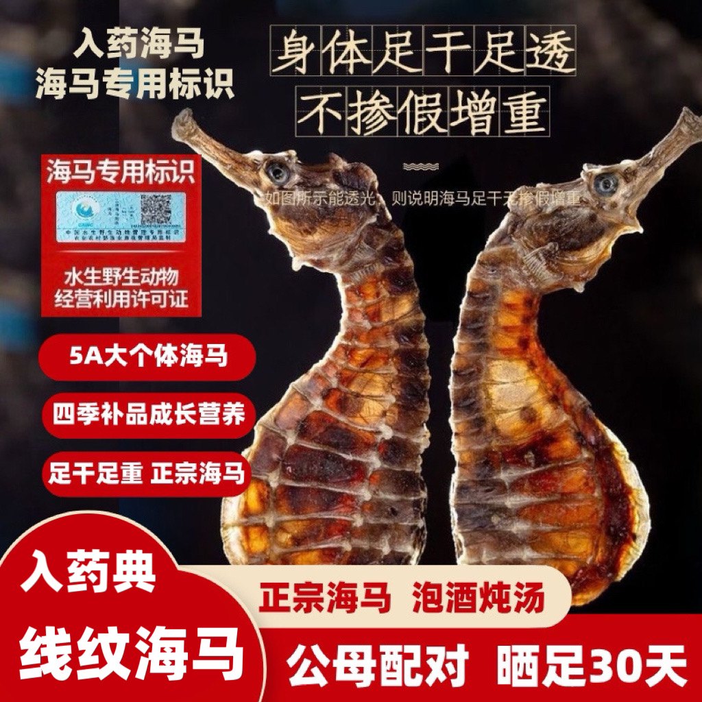 中号线纹海马干 活动款 不分公母 一只0.8克左右