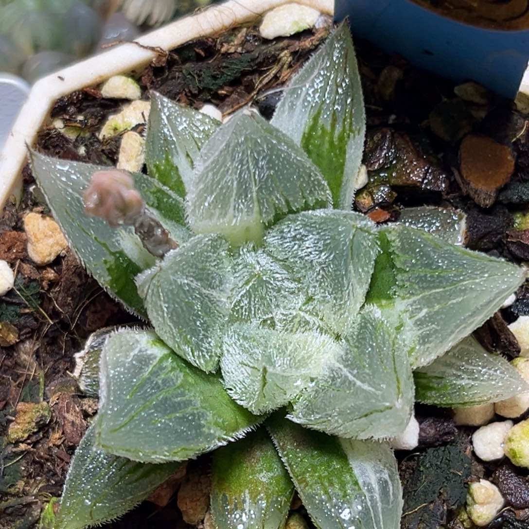 恭喜发财大吉大利0229