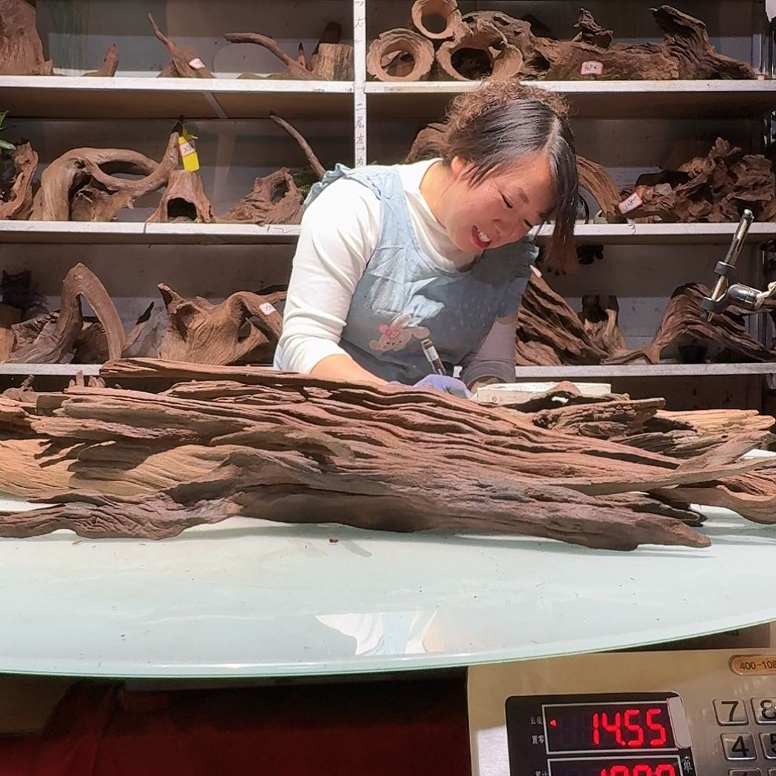 倍诸沉木不包损，必褪色春*雪0223紫柚树皮