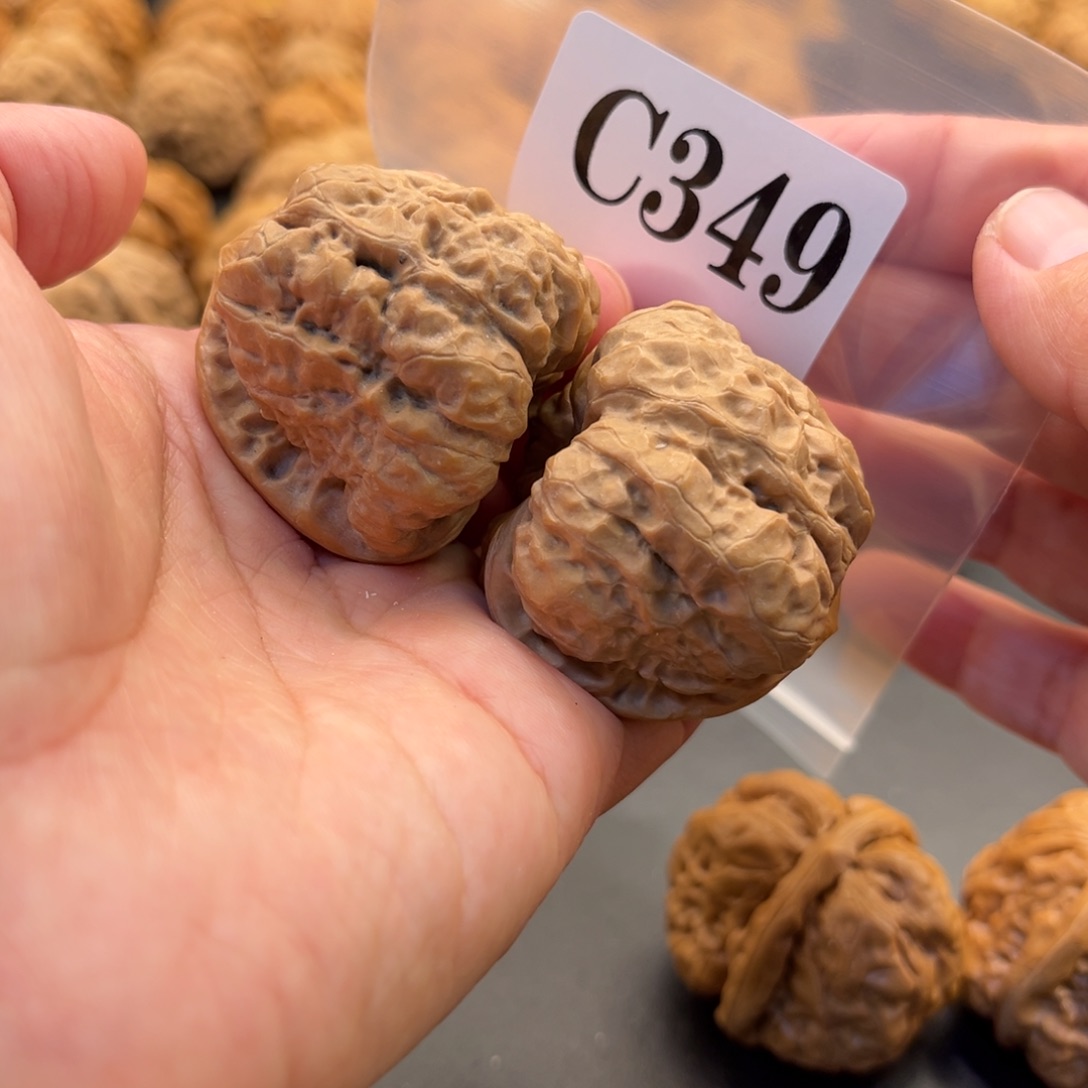 把件桃核蛙蛙福利41度41