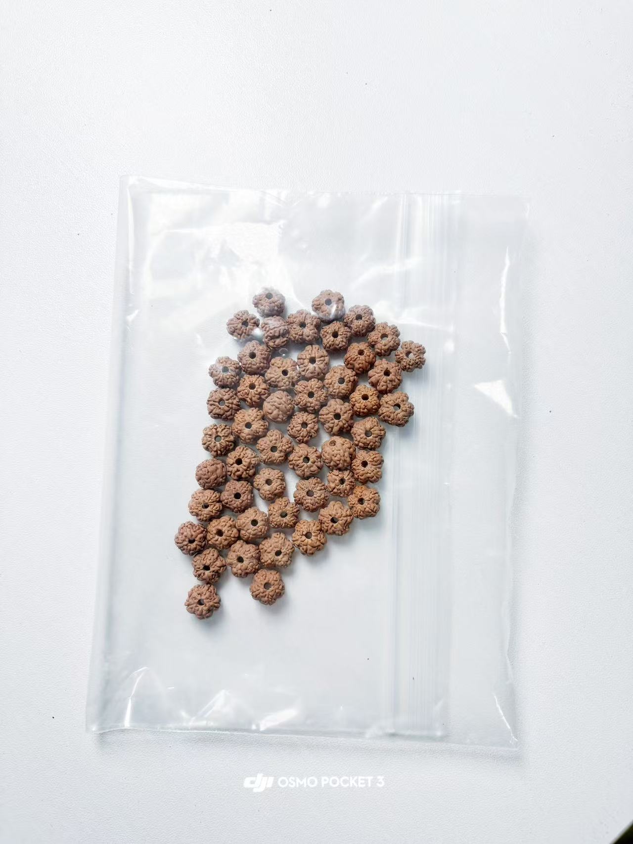 小散籽体验原皮原色高油高密文玩