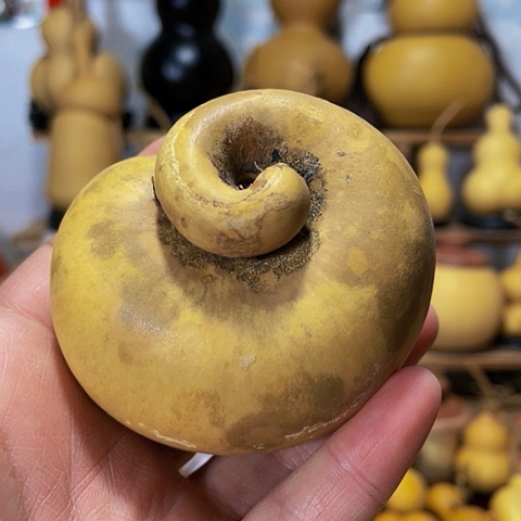 精品厚皮腰子葫芦