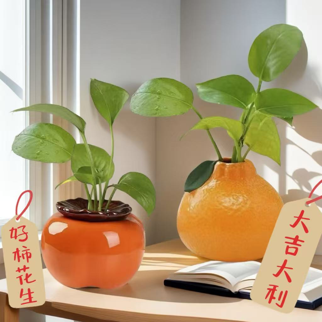 创意橘子花瓶ins水培绿萝水养绿植好养盆栽客厅办公桌面室内摆件