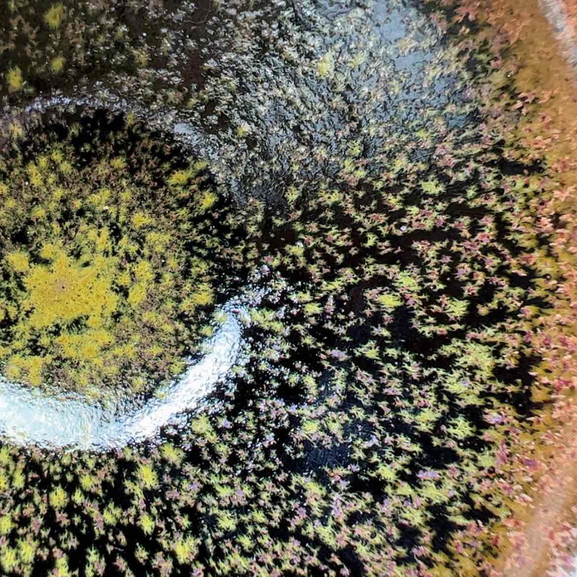 【闪购商品】茶盏建窑建盏主人杯