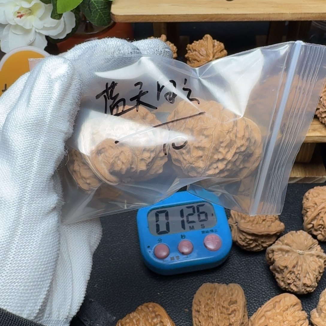 ****云木质南瓜1111111111