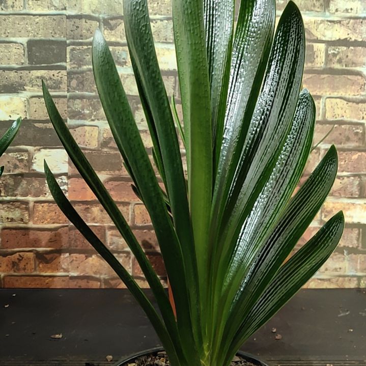 完全开放1111111111