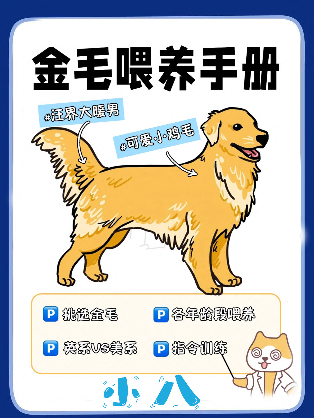 阿杰教你如何选狗（一）