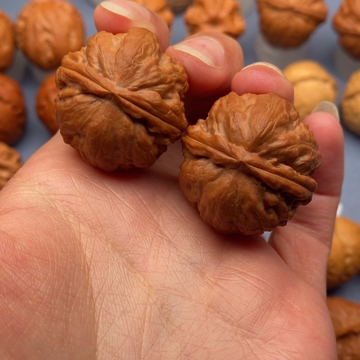 文玩核桃把件盘龙石