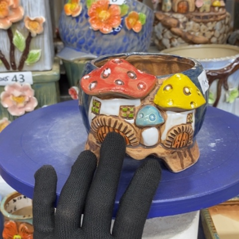 【闪购商品】红陶1