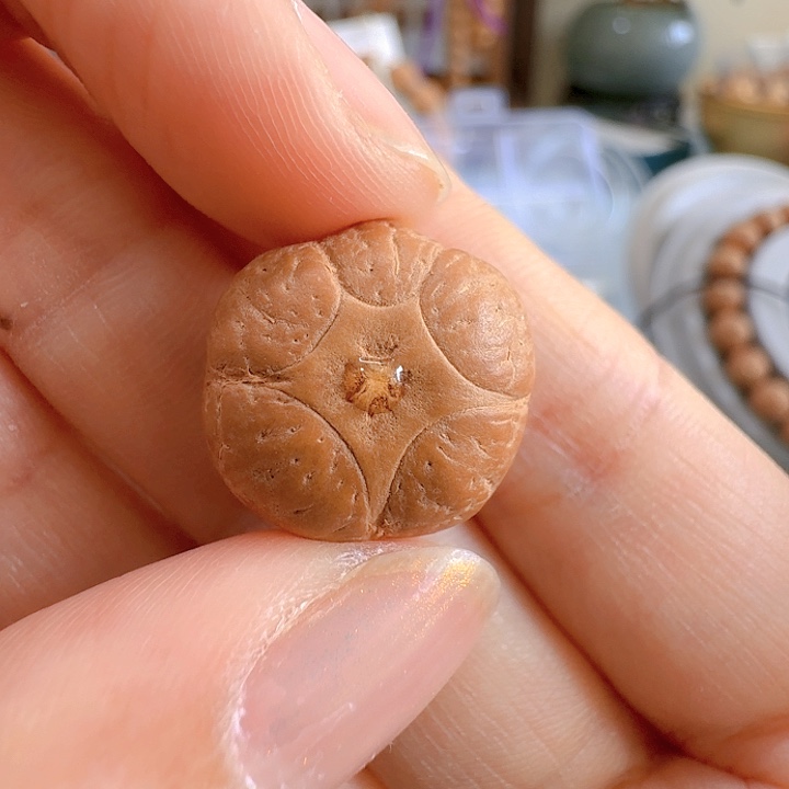 凤眼菩提吊坠17mm五星85@7526