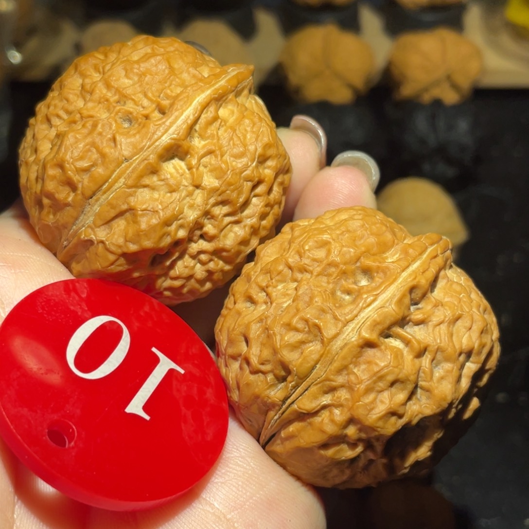 霸王龙42尺寸核桃