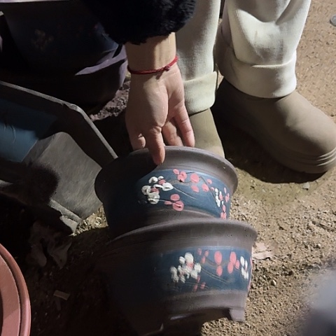 紫砂宜兴紫砂富贵点彩小号一对