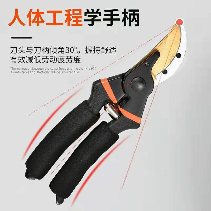园艺剪刀批发果树修枝剪园林粗枝剪树枝用的剪刀花艺修枝剪摘果剪