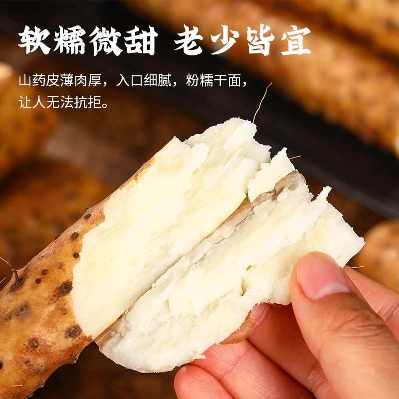 温县新鲜出土正宗垆土铁棍山药40公分新鲜现挖