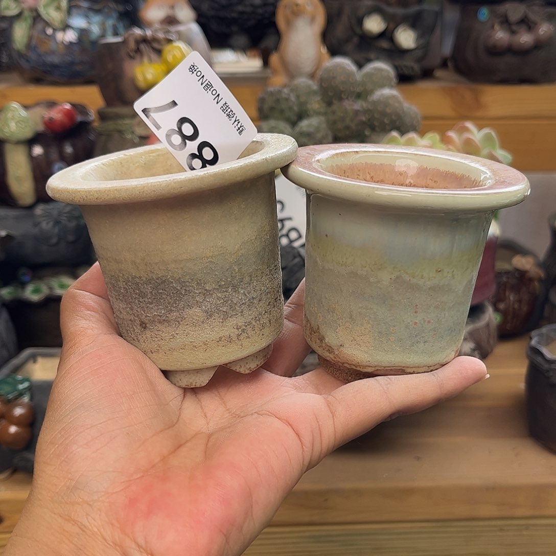 好看不喜欢吃这个我887