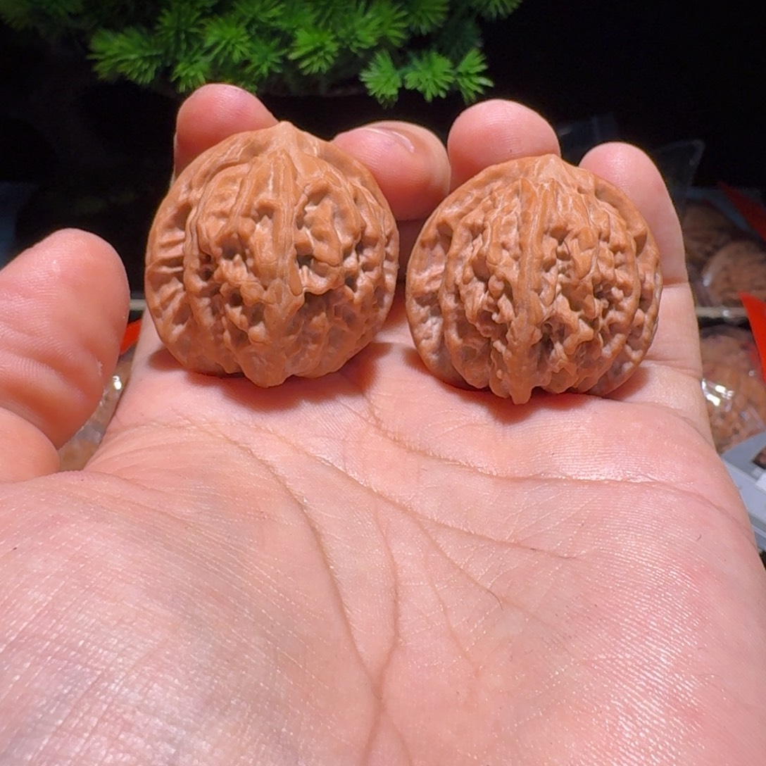 静***斤吊坠文玩核桃太行龙珠