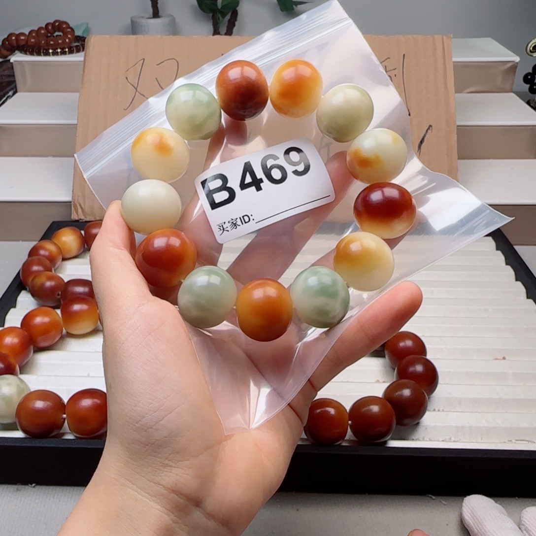 手串菩提根/象牙果菩提2.3